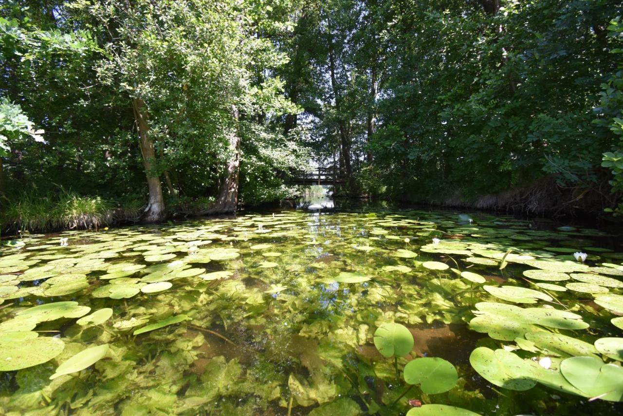 Ferienhaus-See-Sauna-Kamin-Hund Mit E-Ladestation Krakow am See Exteriör bild